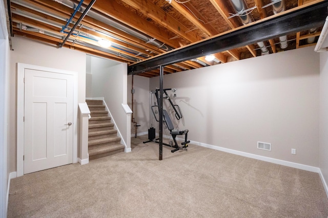 basement featuring carpet