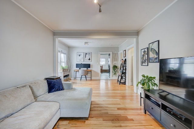 living area with ornamental molding, light wood finished floors, rail lighting, and baseboards