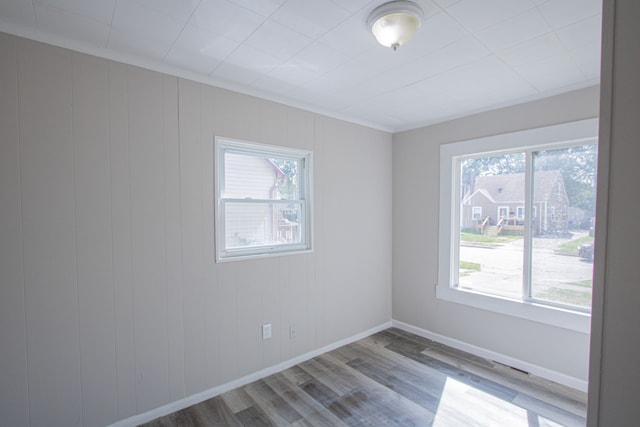 empty room with plenty of natural light and light hardwood / wood-style flooring