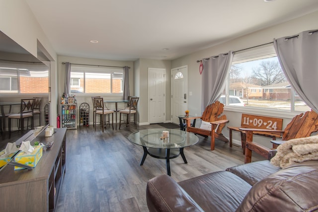 living room featuring hardwood / wood-style flooring and a wealth of natural light