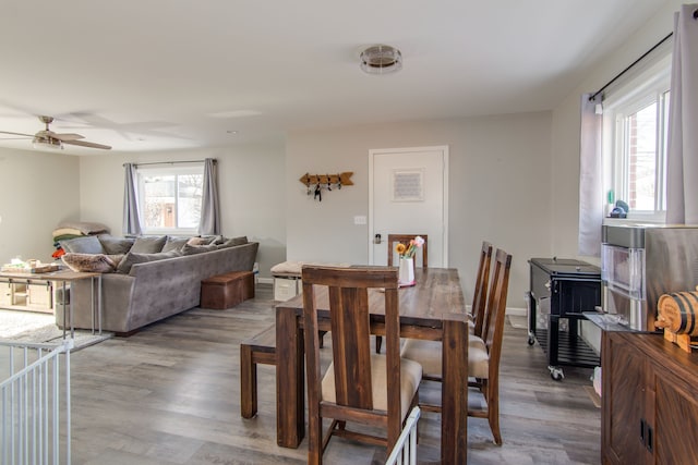 dining room with ceiling fan and hardwood / wood-style floors