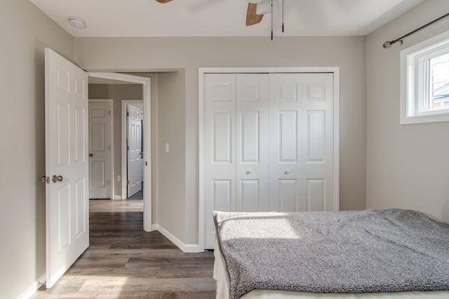 bedroom with dark hardwood / wood-style floors, ceiling fan, and a closet