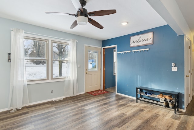 entryway featuring wood-type flooring