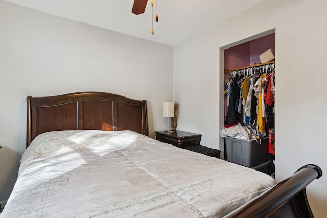 bedroom with ceiling fan, a walk in closet, and a closet