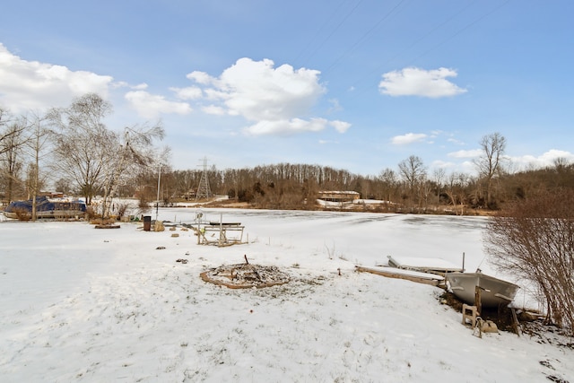 view of snowy yard