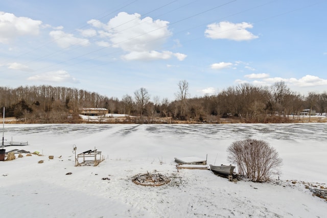 view of snowy yard