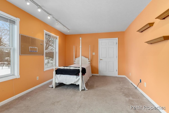 bedroom with rail lighting, light carpet, and multiple windows