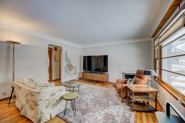 living room featuring light hardwood / wood-style flooring and a wealth of natural light