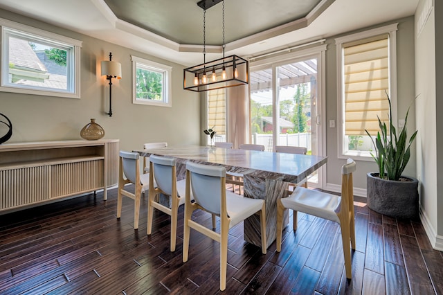 dining room featuring a tray ceiling and dark hardwood / wood-style flooring