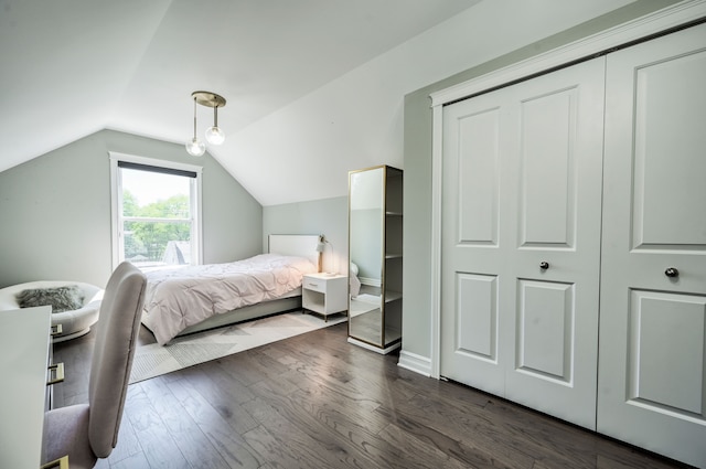 bedroom with lofted ceiling and dark wood-type flooring