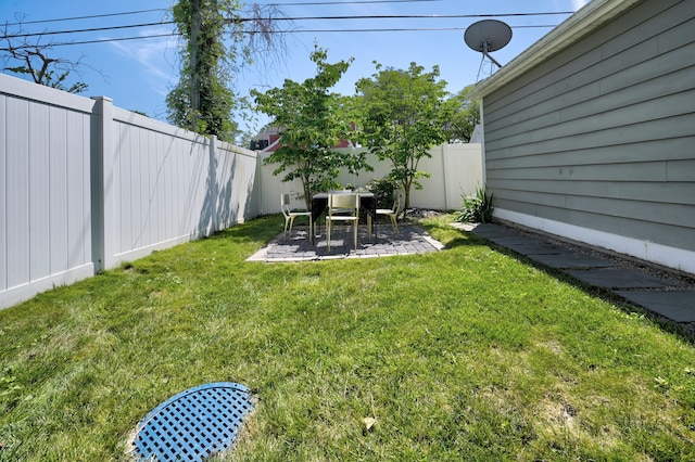 view of yard featuring a patio area