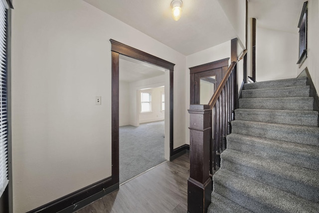 stairway featuring wood-type flooring