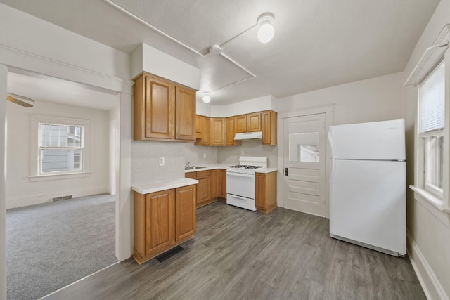 kitchen with white appliances, light hardwood / wood-style floors, and a healthy amount of sunlight