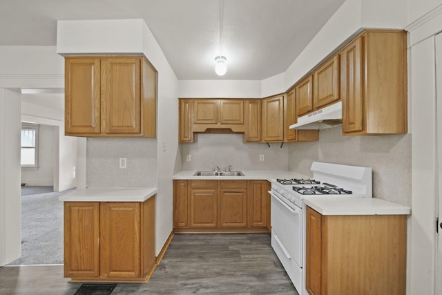 kitchen with white range with gas cooktop, sink, decorative backsplash, and dark hardwood / wood-style floors