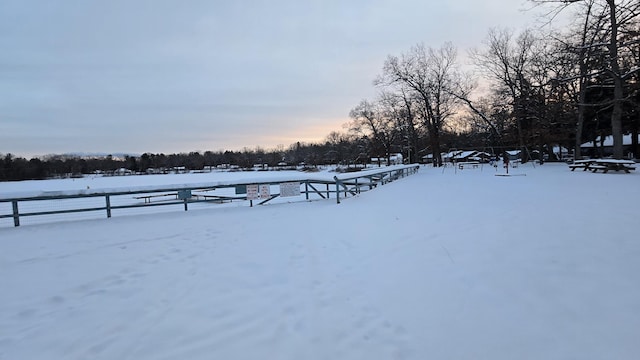 view of yard covered in snow