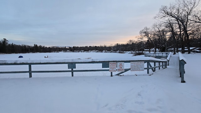 view of yard covered in snow