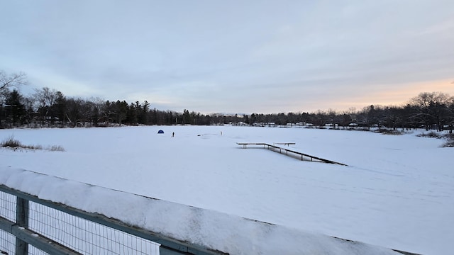 view of yard covered in snow