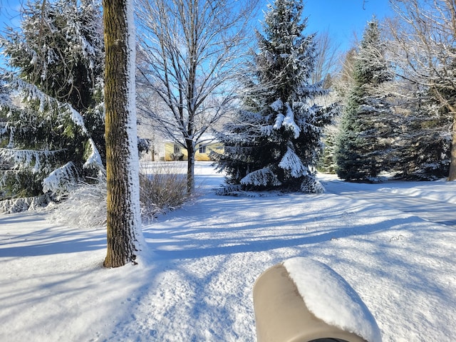 view of yard layered in snow