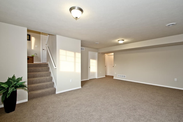 basement featuring carpet