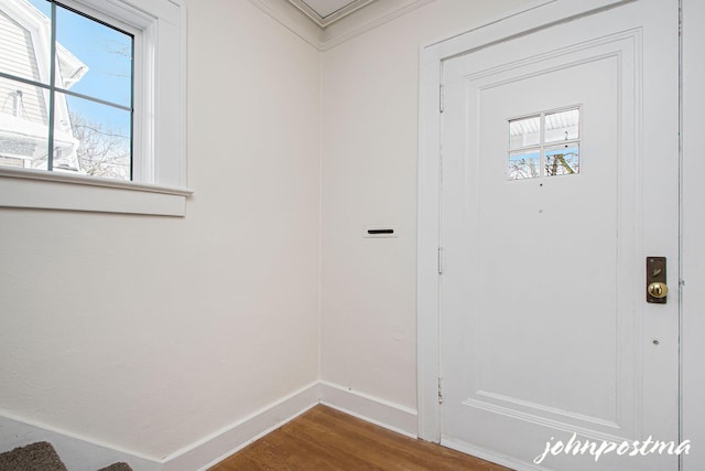 doorway featuring crown molding and hardwood / wood-style floors