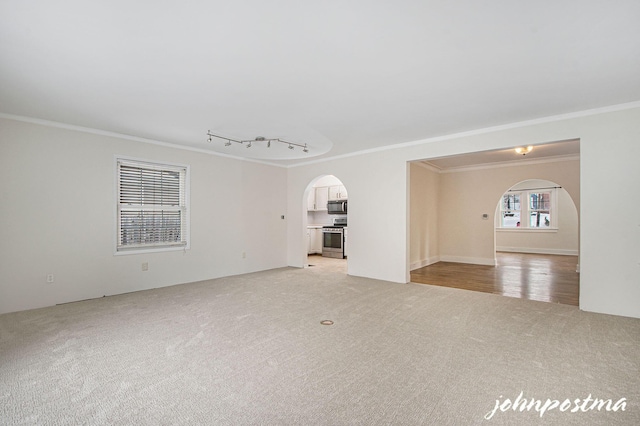 unfurnished room featuring light carpet, ornamental molding, and rail lighting