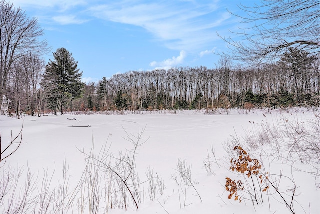 view of yard covered in snow