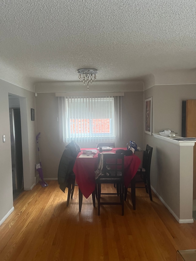 dining area featuring hardwood / wood-style floors and a textured ceiling