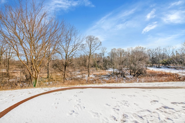 view of snowy yard