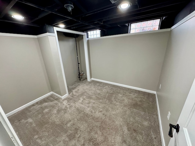 basement featuring carpet floors