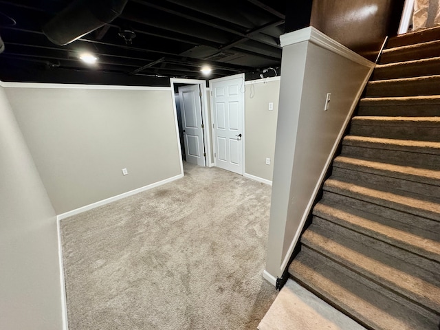 basement with carpet