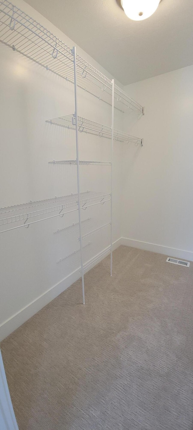 spacious closet with carpet floors