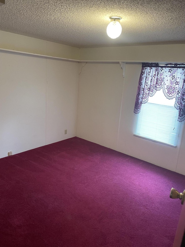 empty room featuring carpet floors and a textured ceiling