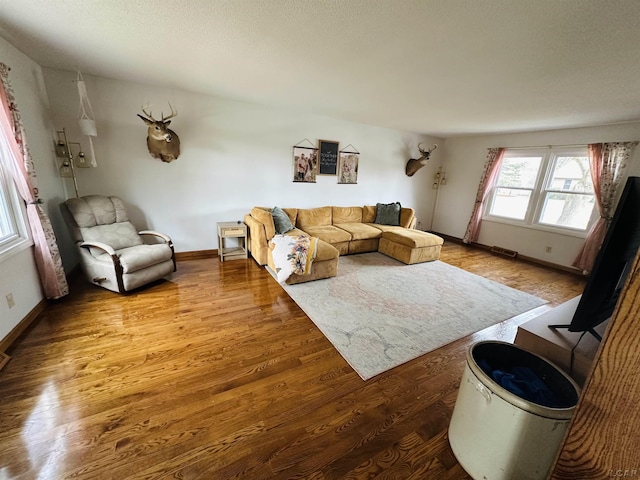 living room with hardwood / wood-style floors