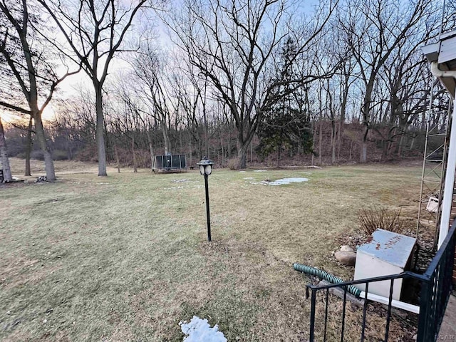 view of yard at dusk