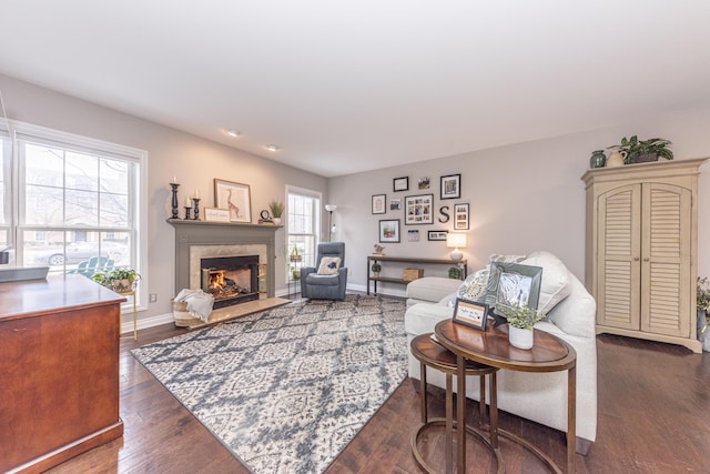 living room featuring a fireplace and dark hardwood / wood-style flooring