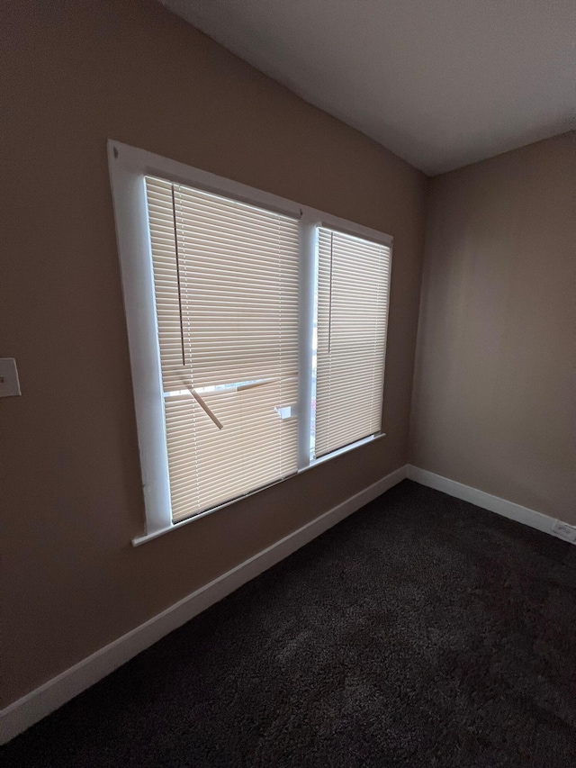 unfurnished room featuring carpet