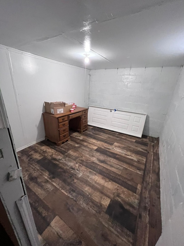 basement featuring dark wood-type flooring