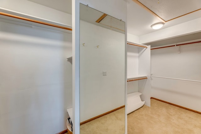 spacious closet featuring light carpet