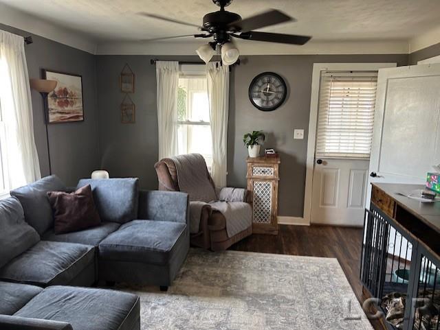 living room with ceiling fan and wood-type flooring