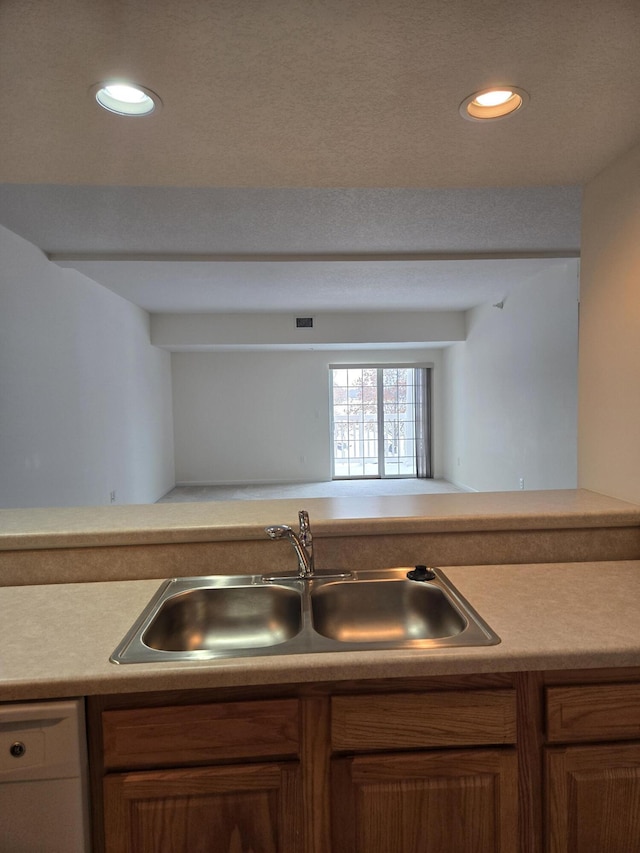 kitchen with white dishwasher and sink