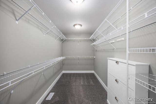 spacious closet featuring carpet flooring