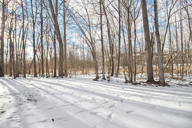 view of snowy yard