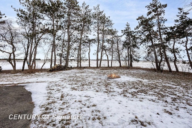 view of yard covered in snow