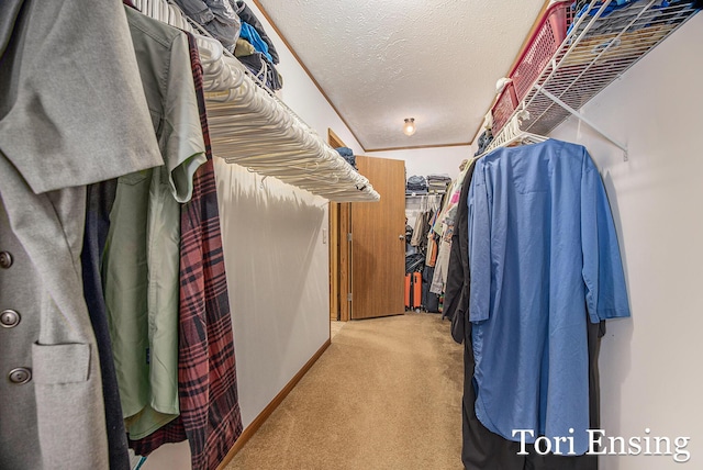walk in closet with light colored carpet