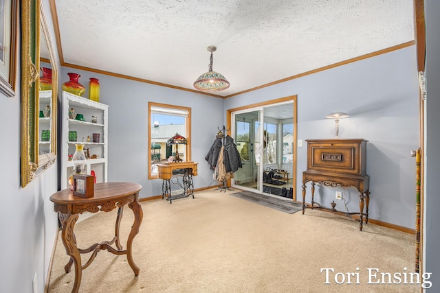 misc room featuring crown molding, carpet flooring, and a textured ceiling