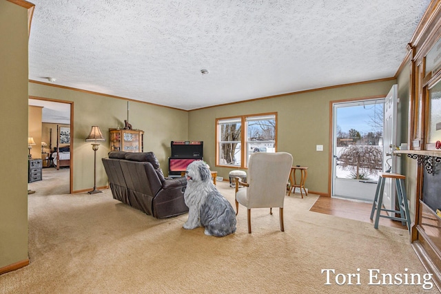 living room featuring ornamental molding, a healthy amount of sunlight, light carpet, and a textured ceiling