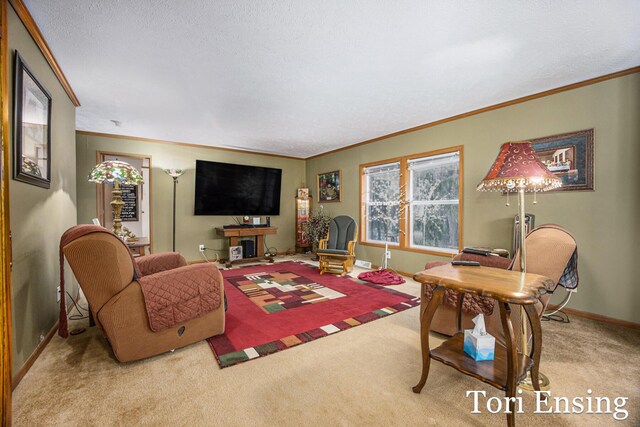 living room featuring crown molding, light carpet, and a textured ceiling