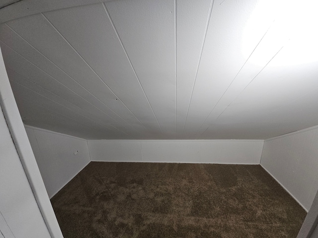 bonus room with lofted ceiling and carpet floors