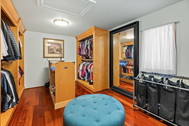 spacious closet featuring dark hardwood / wood-style flooring