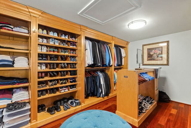 spacious closet featuring dark hardwood / wood-style flooring